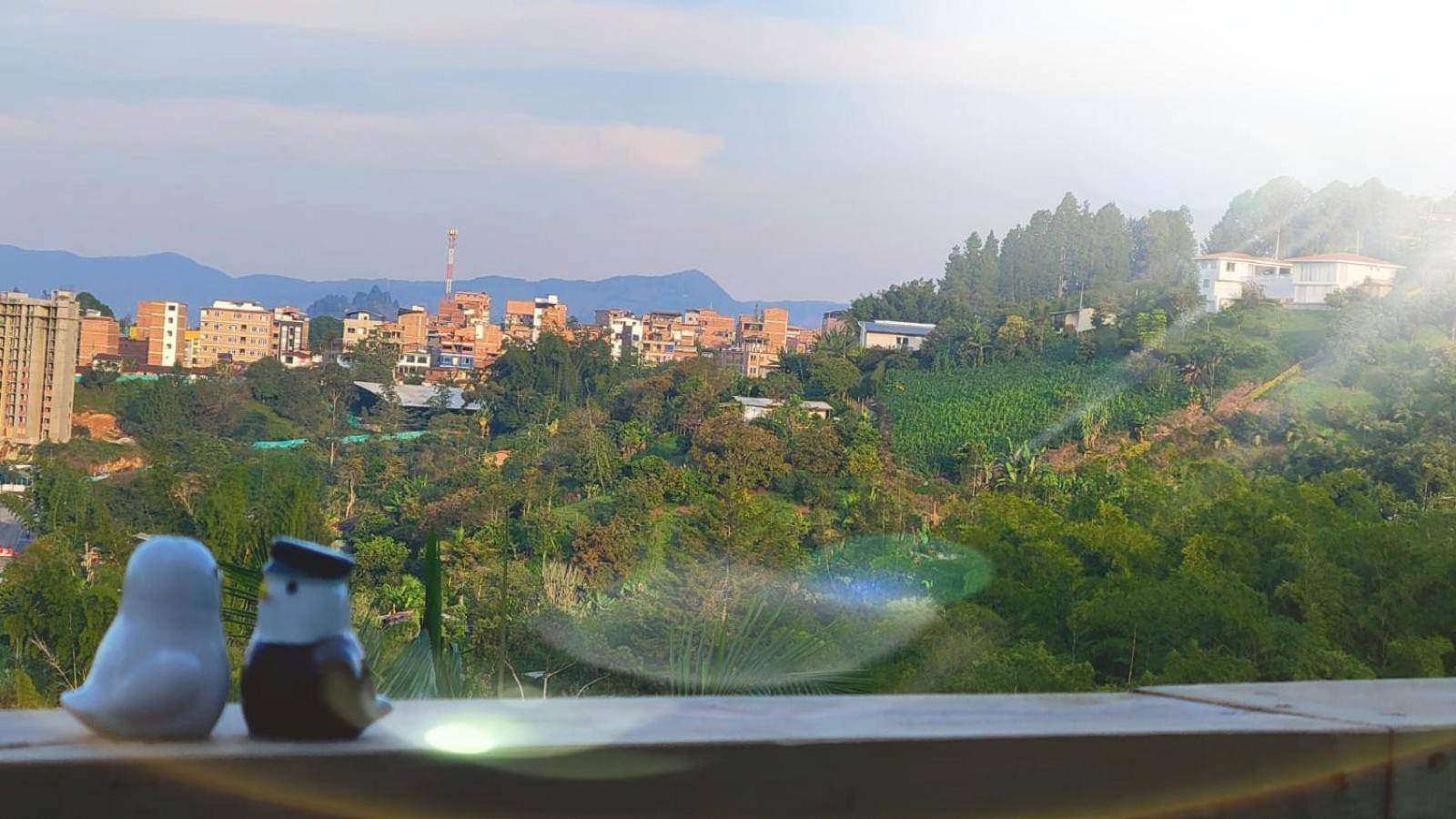 Edyma Con Jacuzzi 鄉村民宿 *